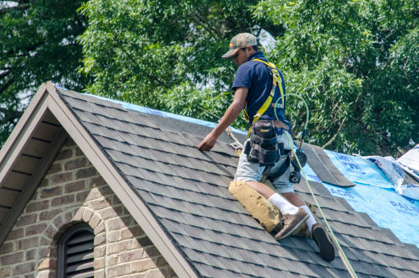 Best Residential Roofing Contractor  in Afton, WY